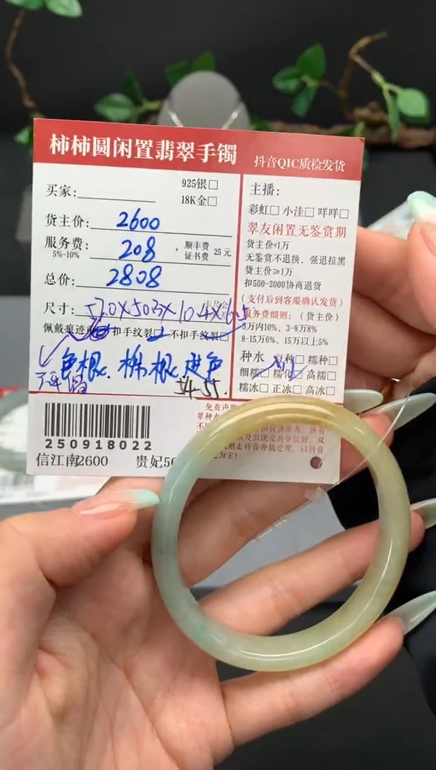 未镶嵌手镯翡翠姐姐250918022