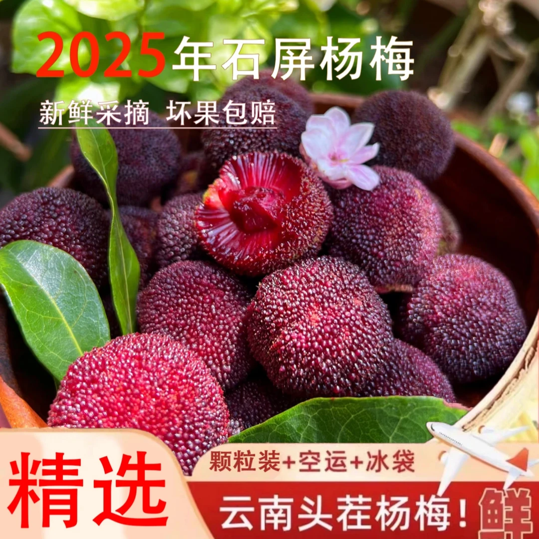 【云南高原】新鲜杨梅酸甜多汁新鲜采摘