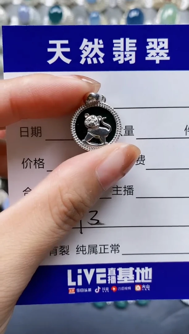 翡翠银S925镶嵌颈饰0693