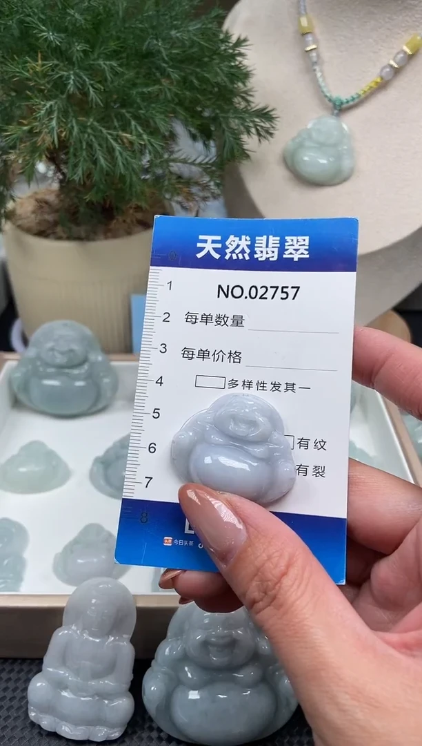 颈饰未镶嵌翡翠纯天然A货翡翠2757