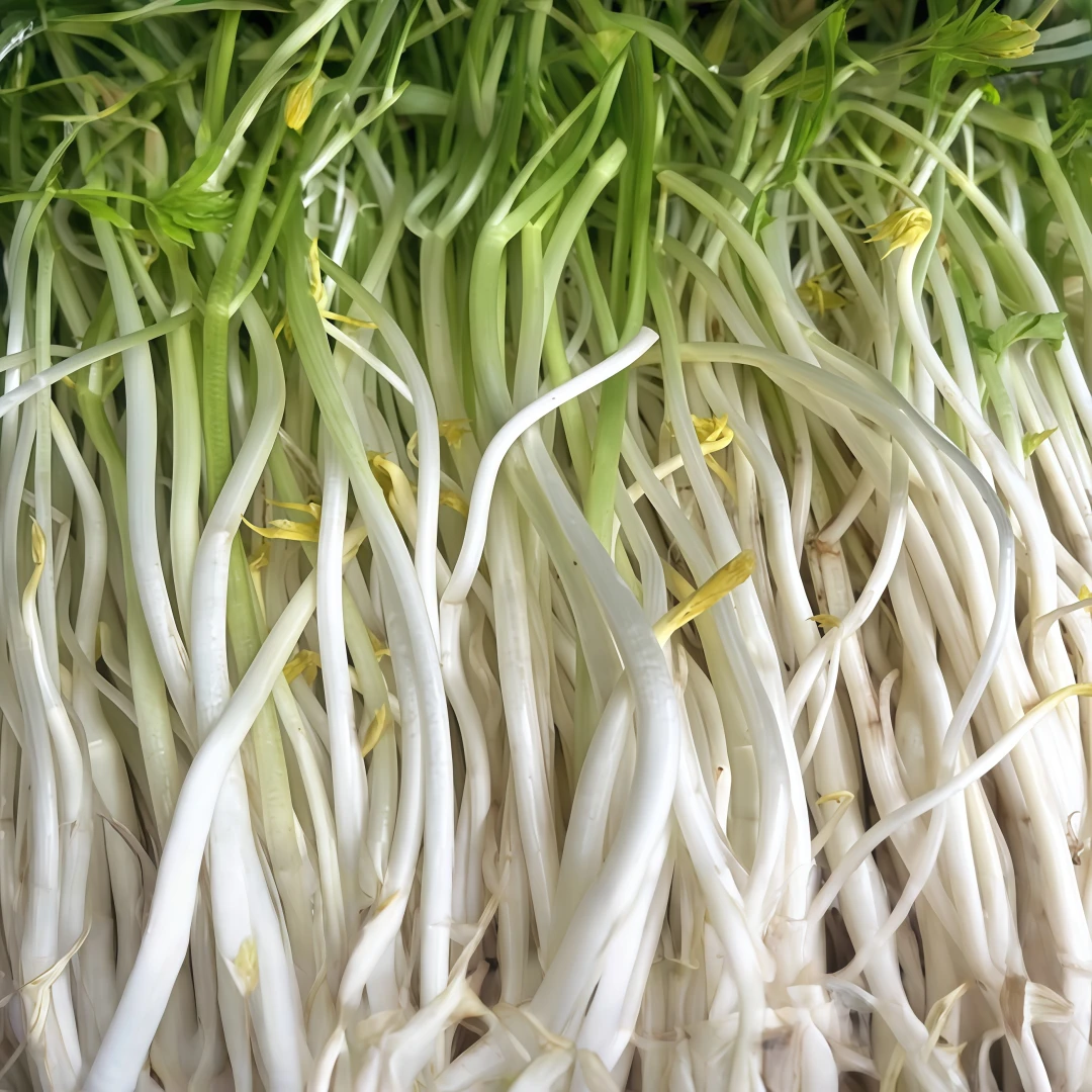 安徽无为特产无为芹芽白杆芹菜新鲜农家蔬菜泡沫箱发货包邮