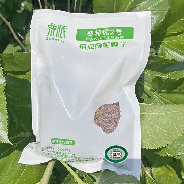 桑特优2号大叶高产蛋白桑树种子耐旱免嫁接500g[仅限自繁自用]