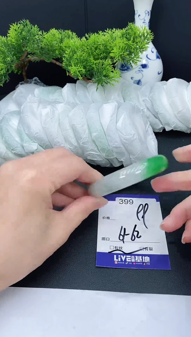 未镶嵌手镯翡翠399