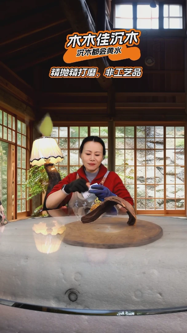 你**字木木佳沉木鱼缸造景