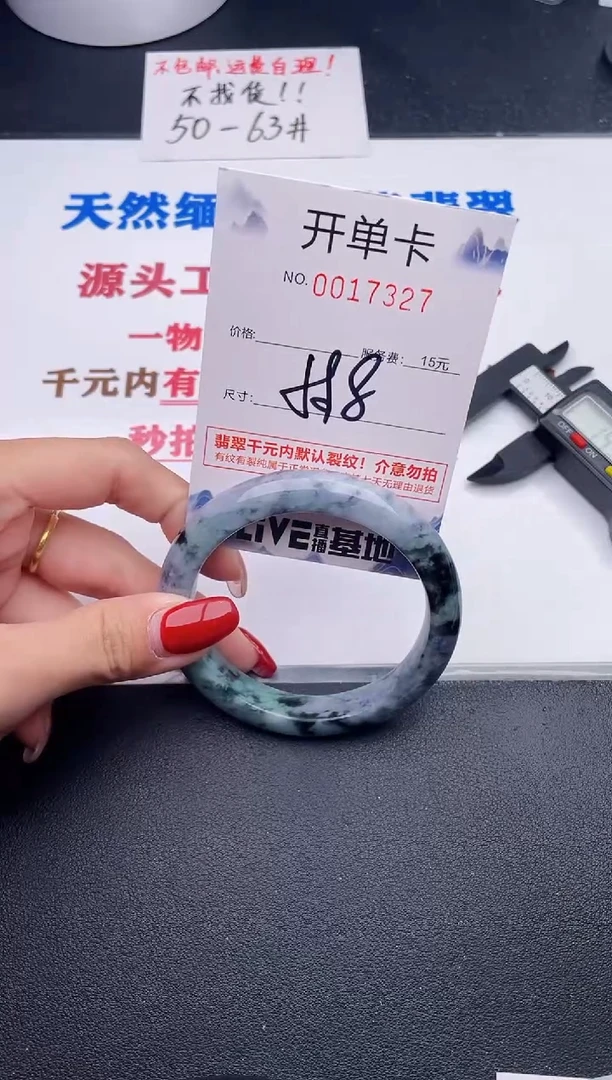 未镶嵌手镯翡翠27