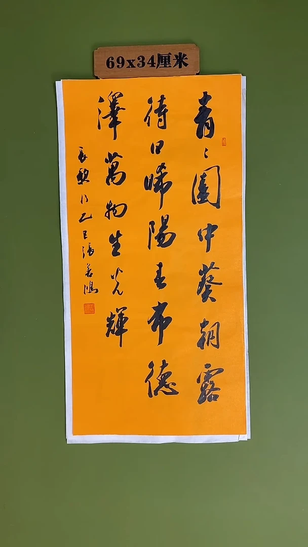 书法书法 张若鸿 尺寸69cm*34cm