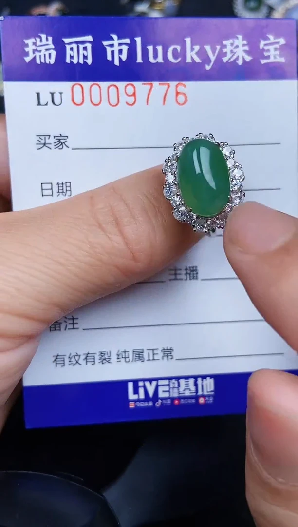 翡翠银S925镶嵌颈饰9776