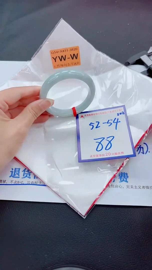 未镶嵌手镯翡翠11111111