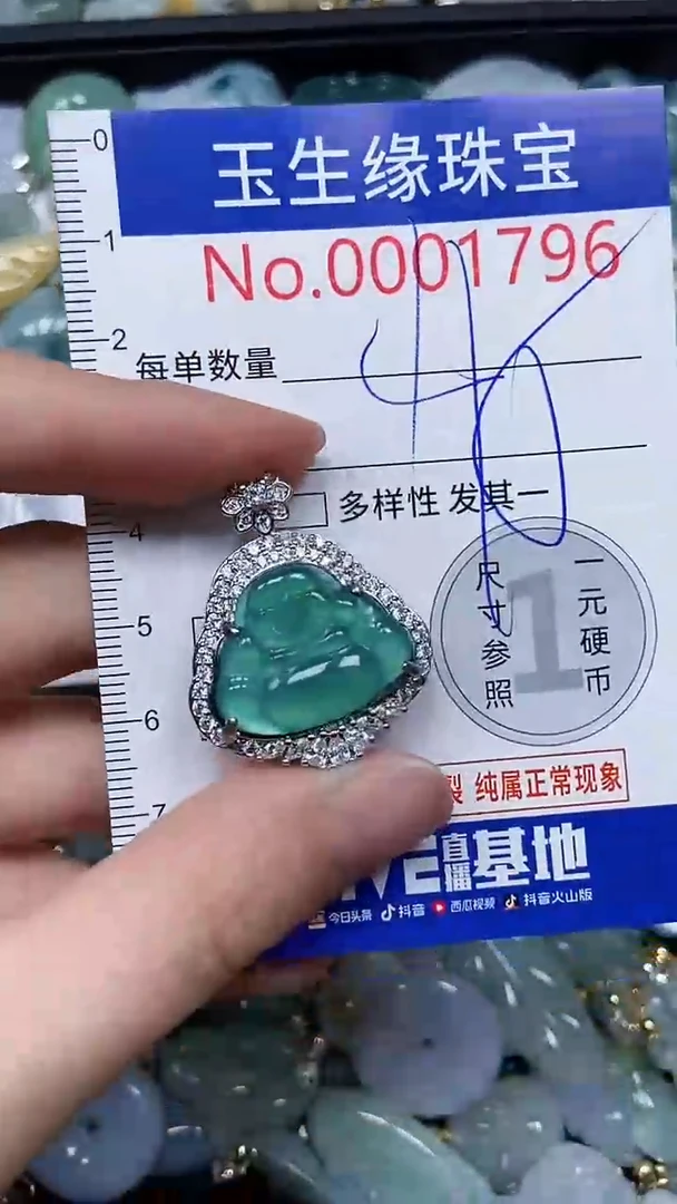 【闪购商品】翡翠颈饰未镶嵌闪购00001796