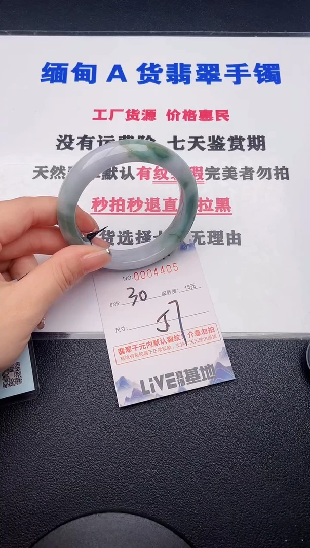 未镶嵌手镯翡翠05