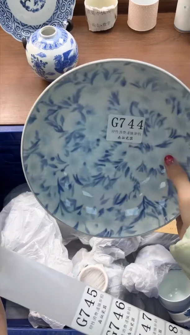 【闪购商品】瓷片----------G744