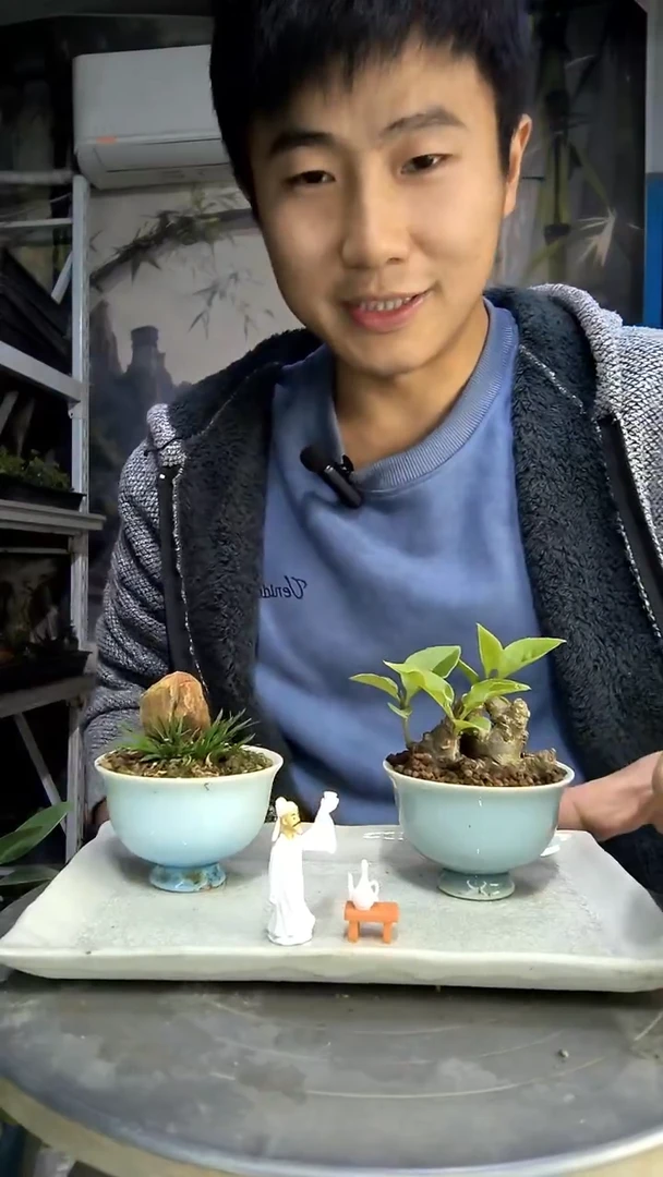 伊***影中青园艺一物一拍187