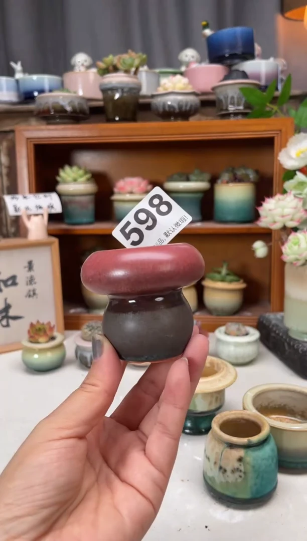 瓷片598知木小芳花盆