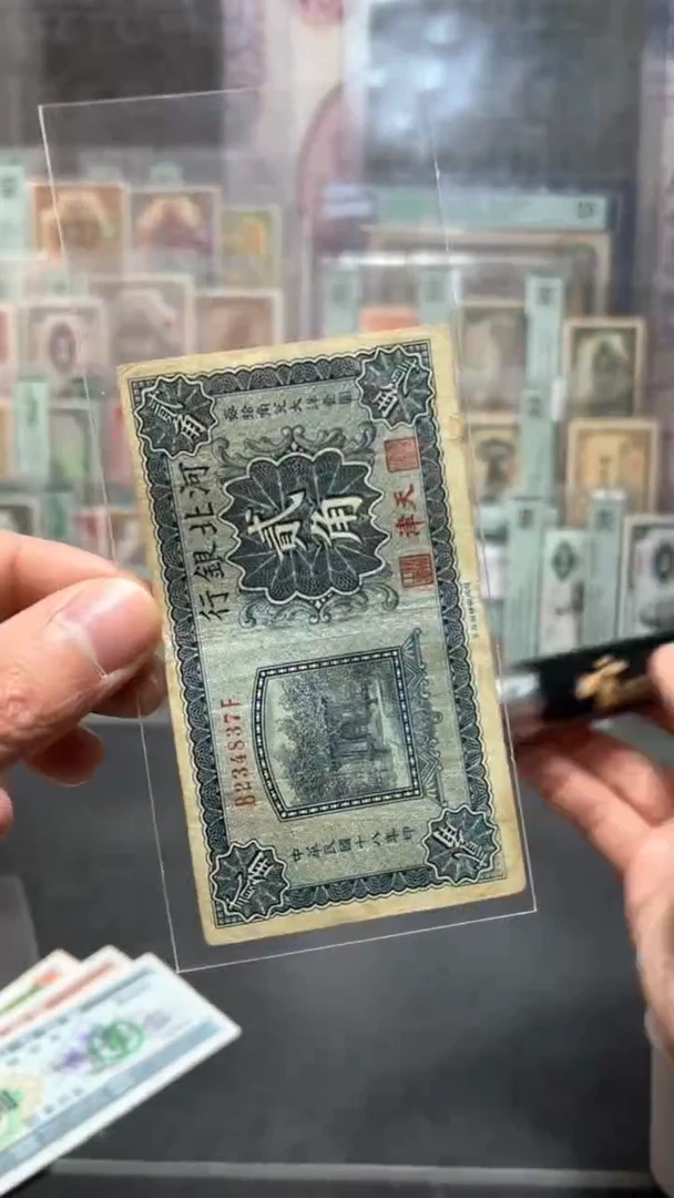 【闪购商品】纸小马直播间包邮福利！！！裂口 粘