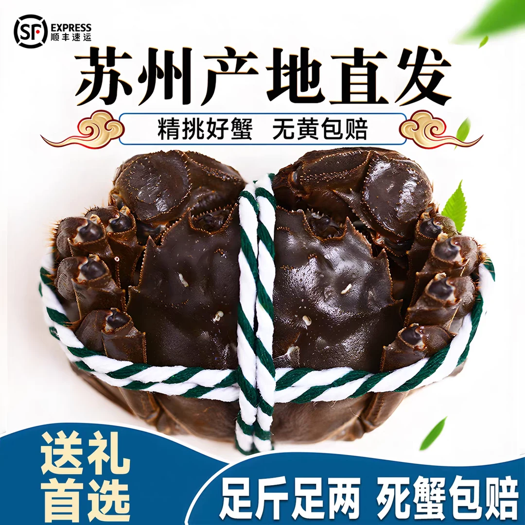 【活蟹现发】正宗苏州精品大闸蟹全母2两8-12只活蟹礼盒装冷链包邮