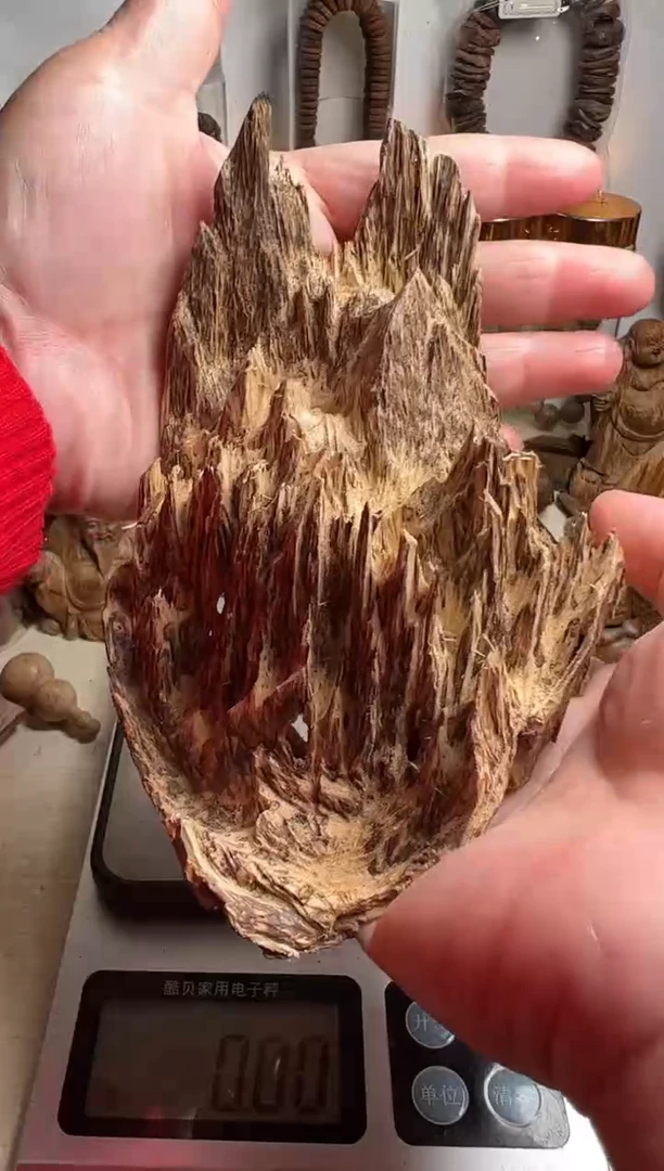 沉香沉香碎屑东马沉香吊口49克左右