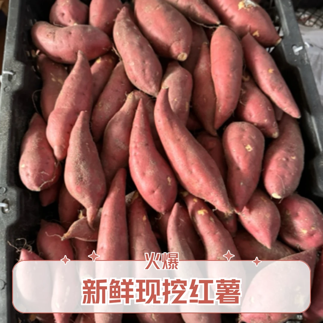 海南澄迈桥头沙地地瓜正当季蜜甜粗粮