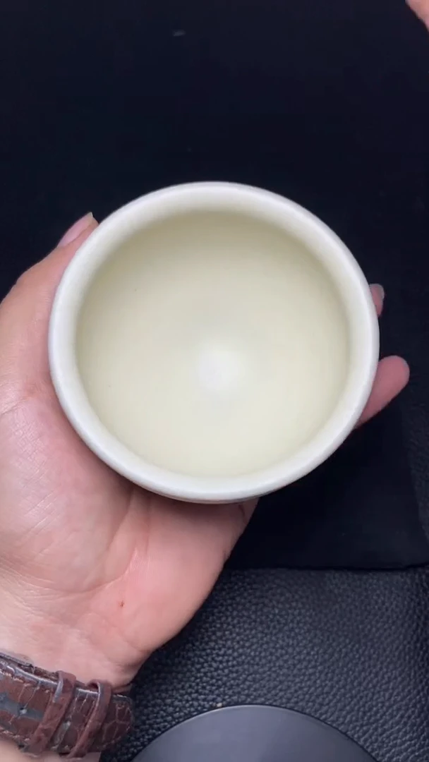 【闪购商品】茶盏白贝一一一一一一一一一一一一