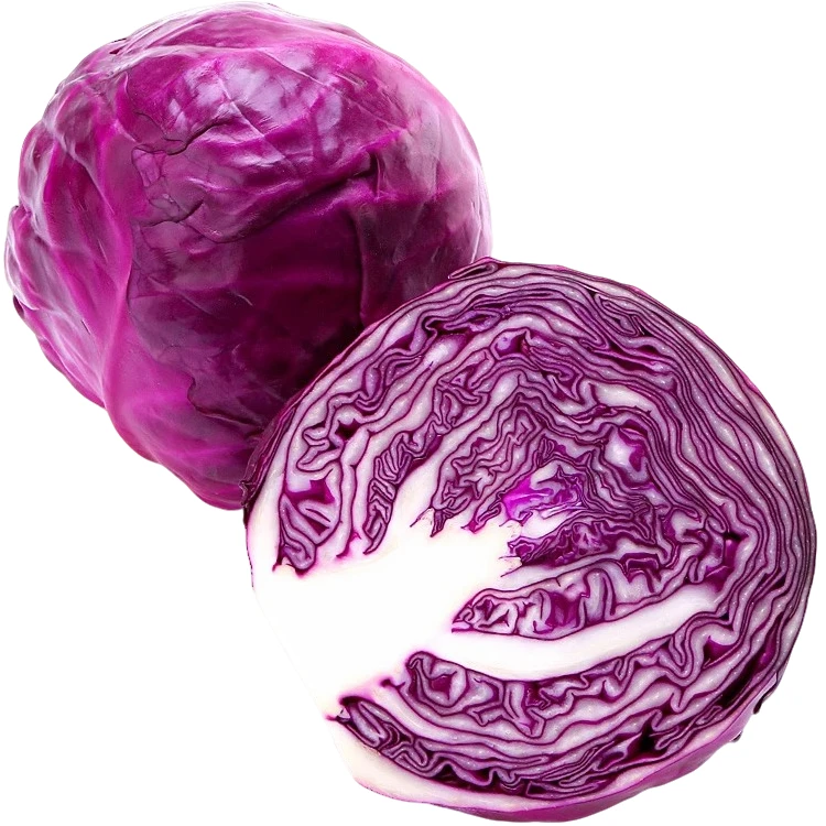 紫甘蓝到手1000g