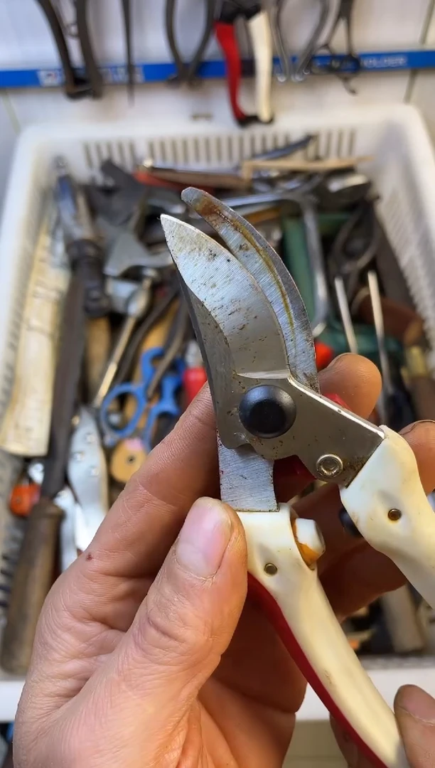 镁努**钱老五工具工具工具