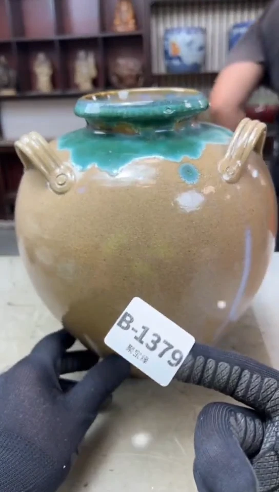 瓷片1379聚宝缘海淘精选