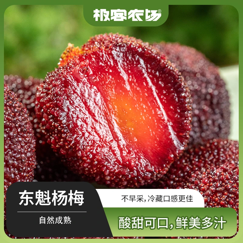 浙江东魁杨梅风味浓郁酸甜爆汁现摘现发新鲜时令水果福建顺丰发货