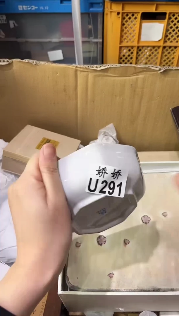 瓷片秋*291定向 秋菊定向 秋菊