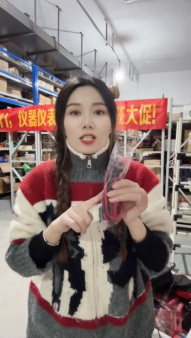 宝工原装10A 十字头表笔