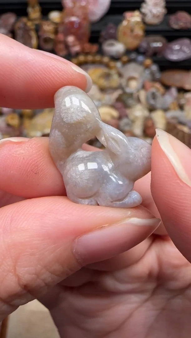 颈饰未镶嵌硅化珊瑚（珊瑚玉）783