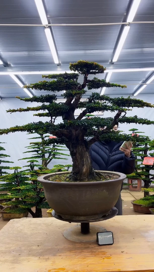 无花朵江****司一物一拍·所见即所得