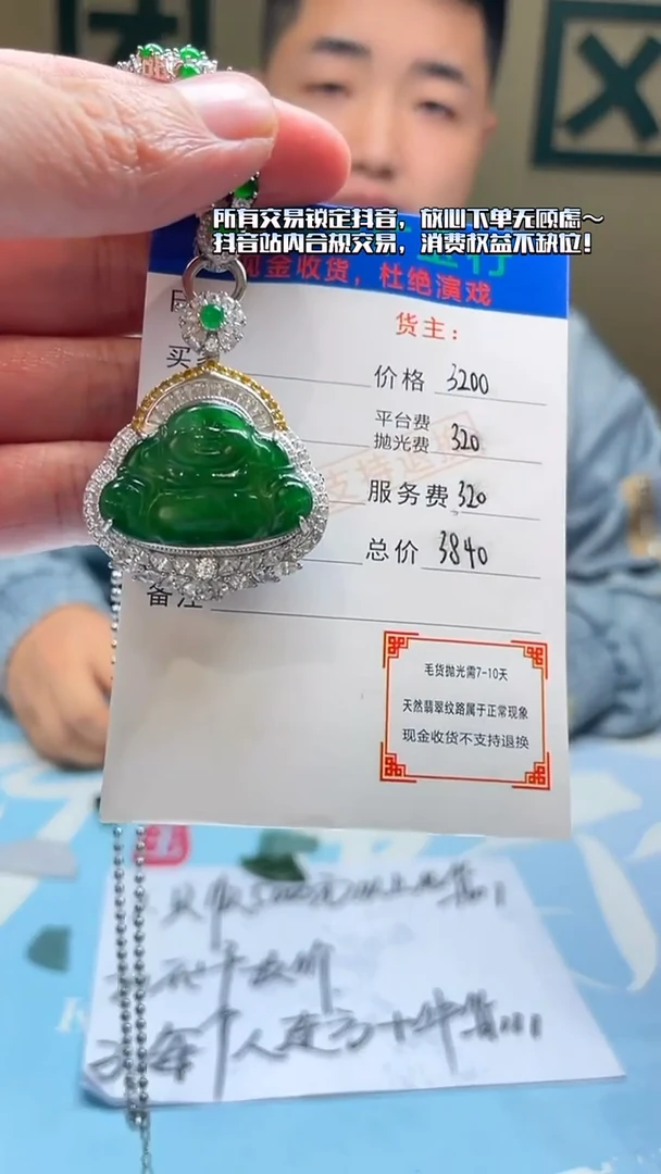 颈饰银S925镶嵌翡翠青**岭净货