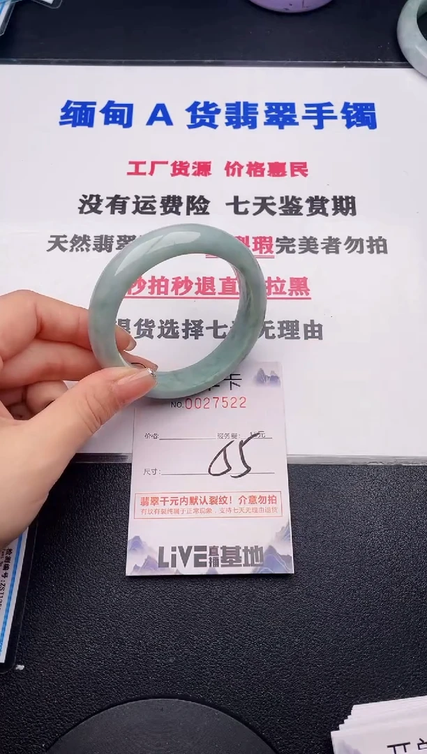 未镶嵌手镯翡翠22