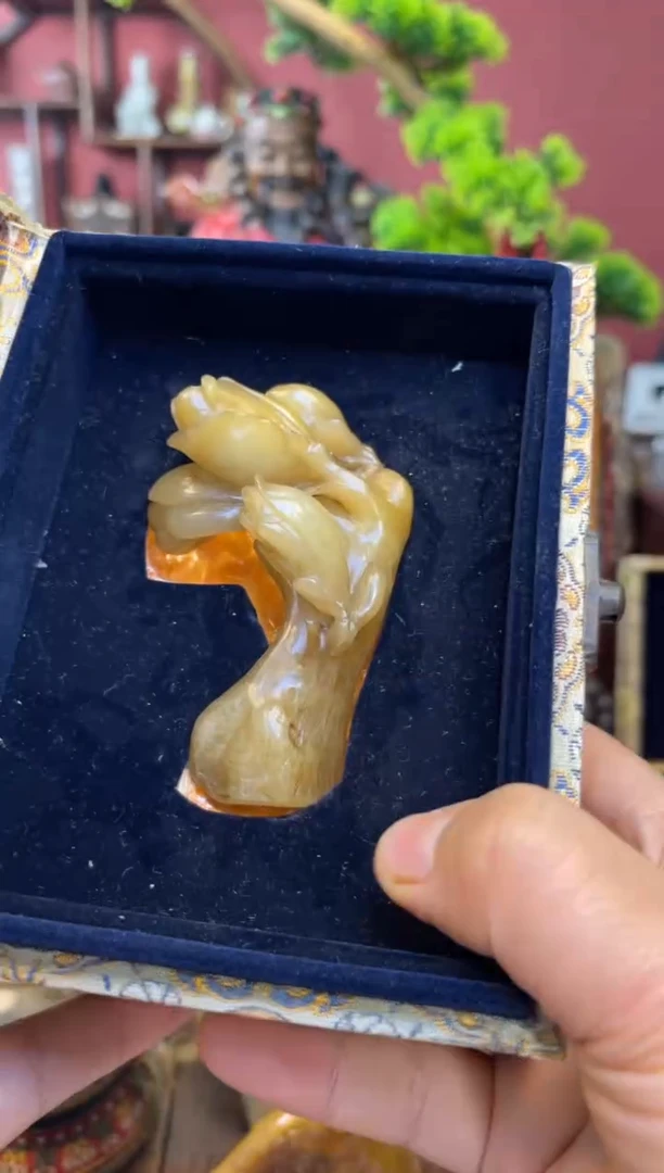 【闪购商品】妍妍清空编号：208-寿山玉兰花