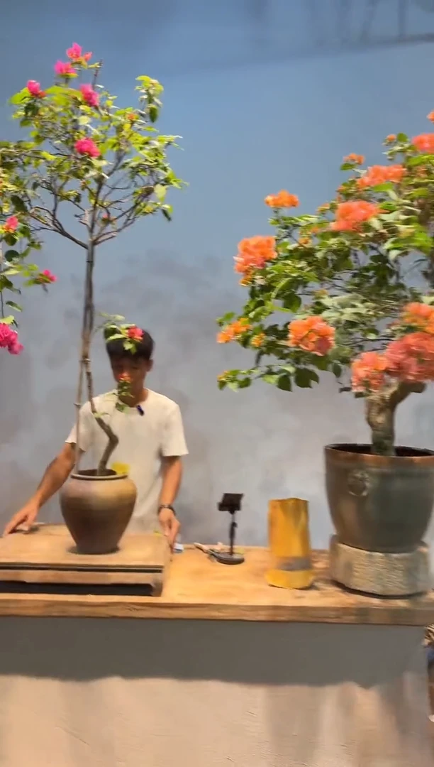 无花朵凌**点驸马16