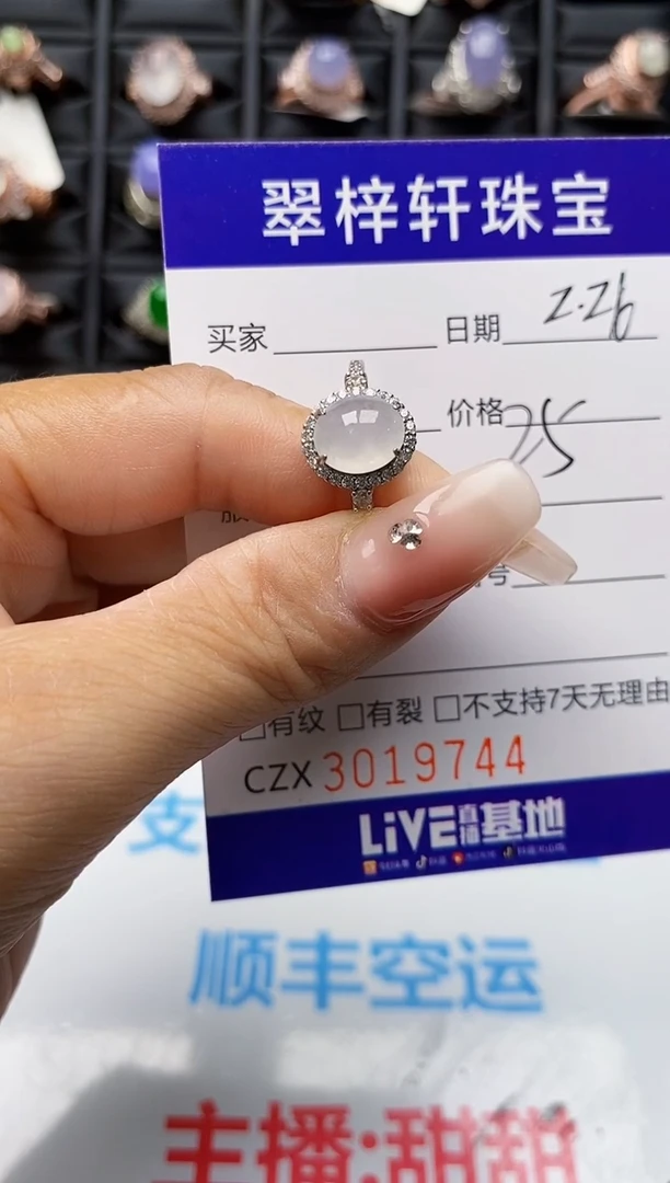 【闪购商品】翡翠戒指银S925镶嵌9744