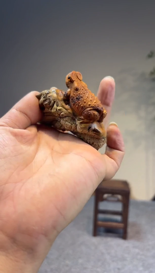 柏木（崖柏）单**绘崖柏崖柏