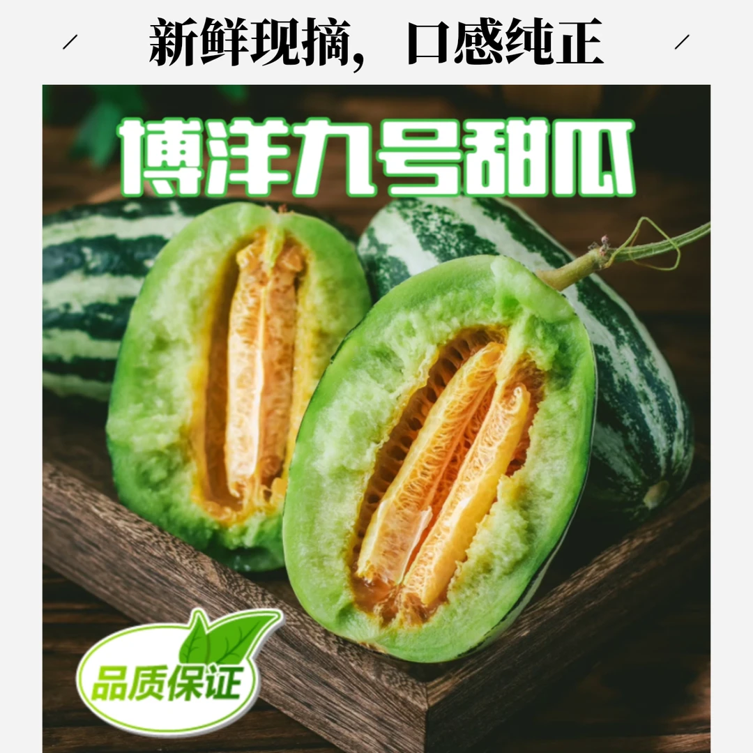 顺丰产地直邮博洋9号99甜瓜香瓜蜜瓜新鲜水果应季脆孕妇当季时令水果整箱2-5斤
