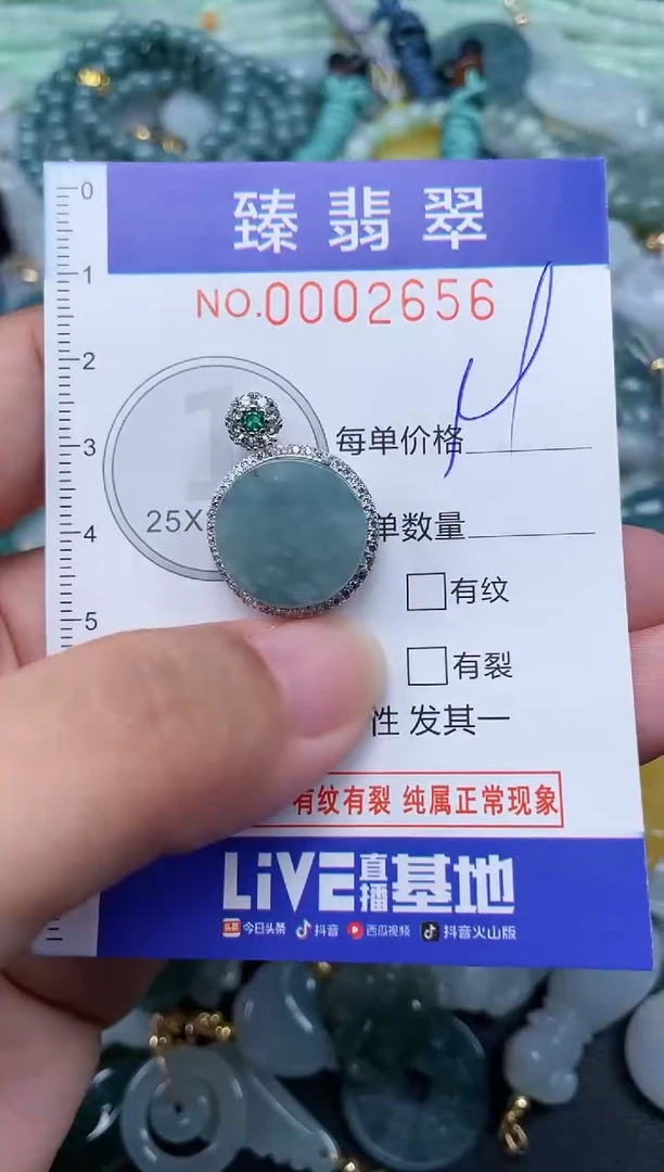 翡翠未镶嵌颈饰.0002656