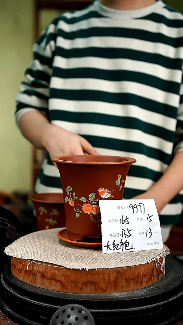 紫砂花盆花卉园艺9977+z