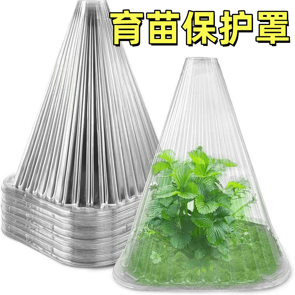 幼苗塑料保护罩植物免受鸟类霜冻蜗伤害防冻育苗罩透明可重复使用