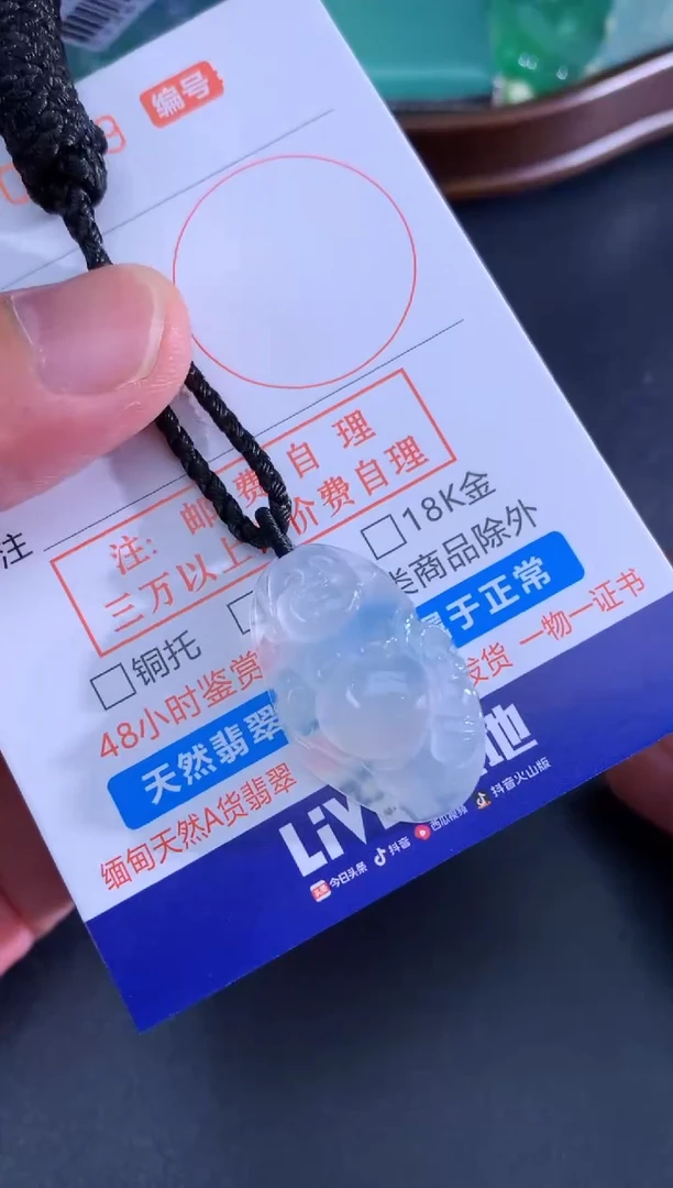 翡翠未镶嵌颈饰天然A货翡翠