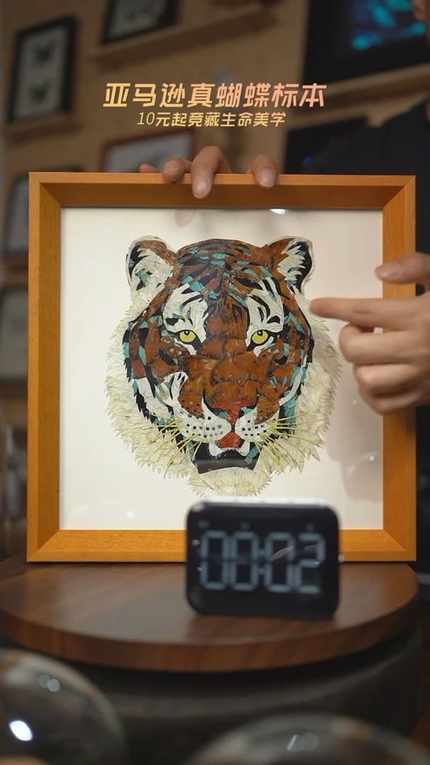 有机玻璃蝶翅画E44