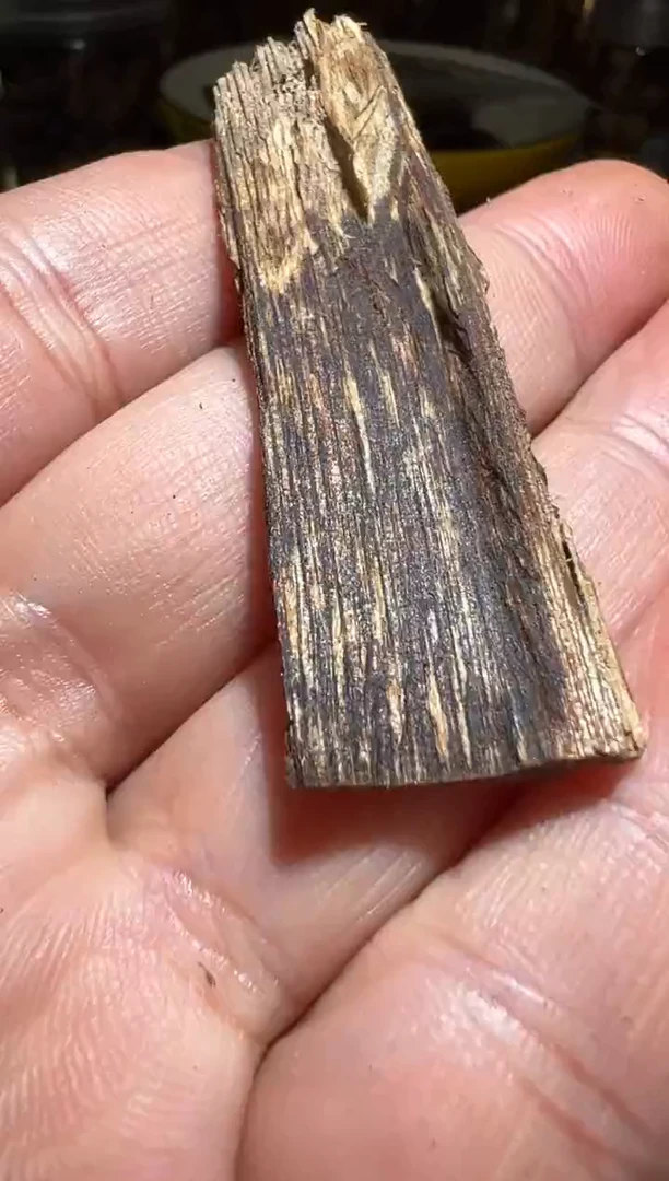 沉香沉香碎屑文莱1.4克