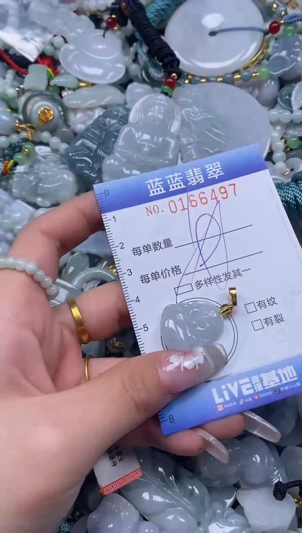 【闪购商品】翡翠颈饰未镶嵌闪购0166497多样性发其一