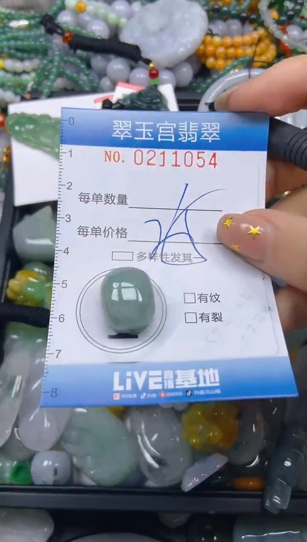 颈饰未镶嵌翡翠闪购C0211054