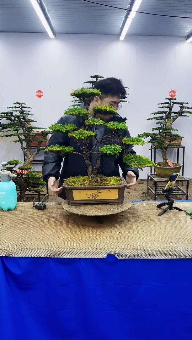 无花朵京一物一拍，所见即所得