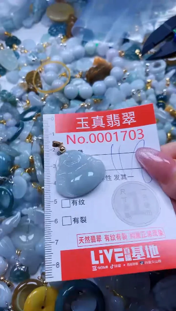 翡翠未镶嵌吊坠(不含链)1703