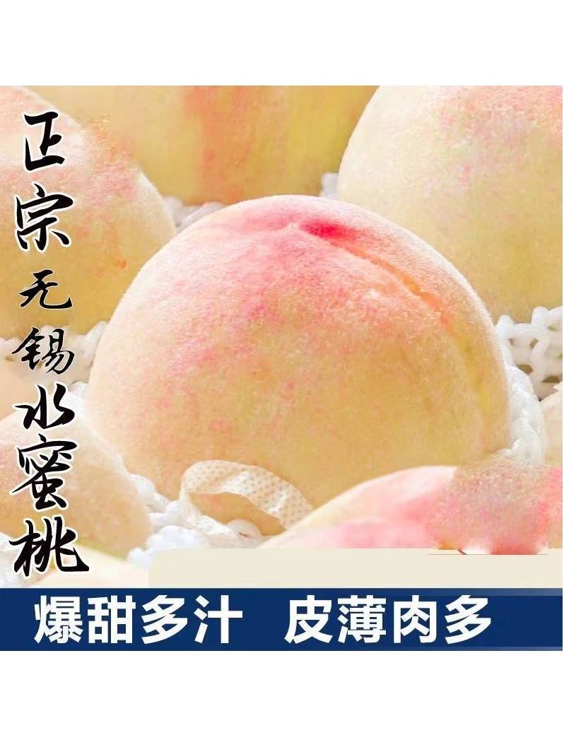 正宗无锡水蜜桃应季新鲜皮薄肉厚家庭装软甜多汁爆汁网红新鲜水果