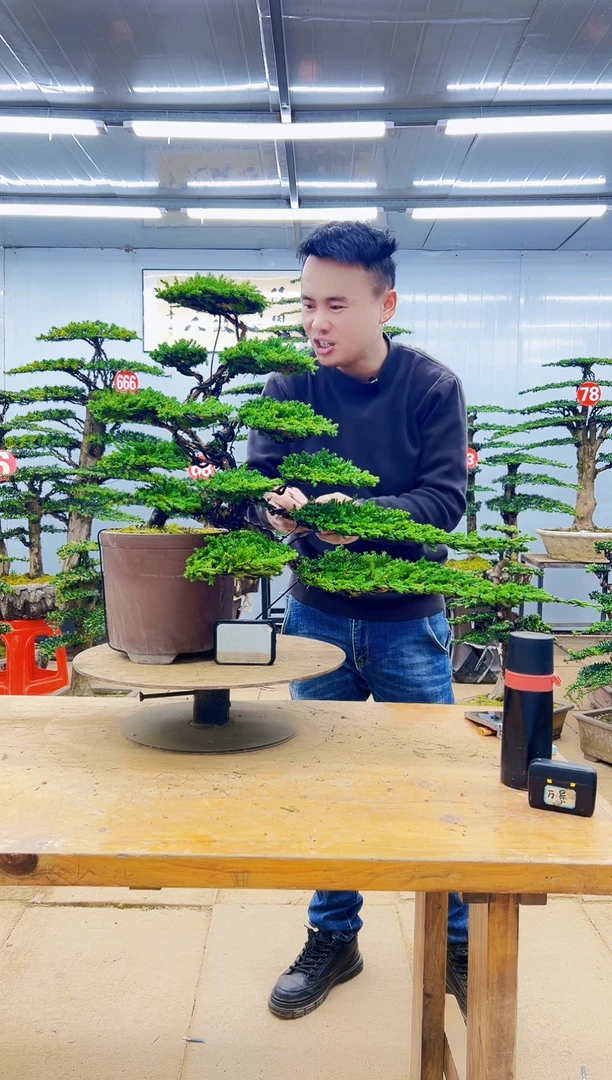 无花朵0000000000000000000000