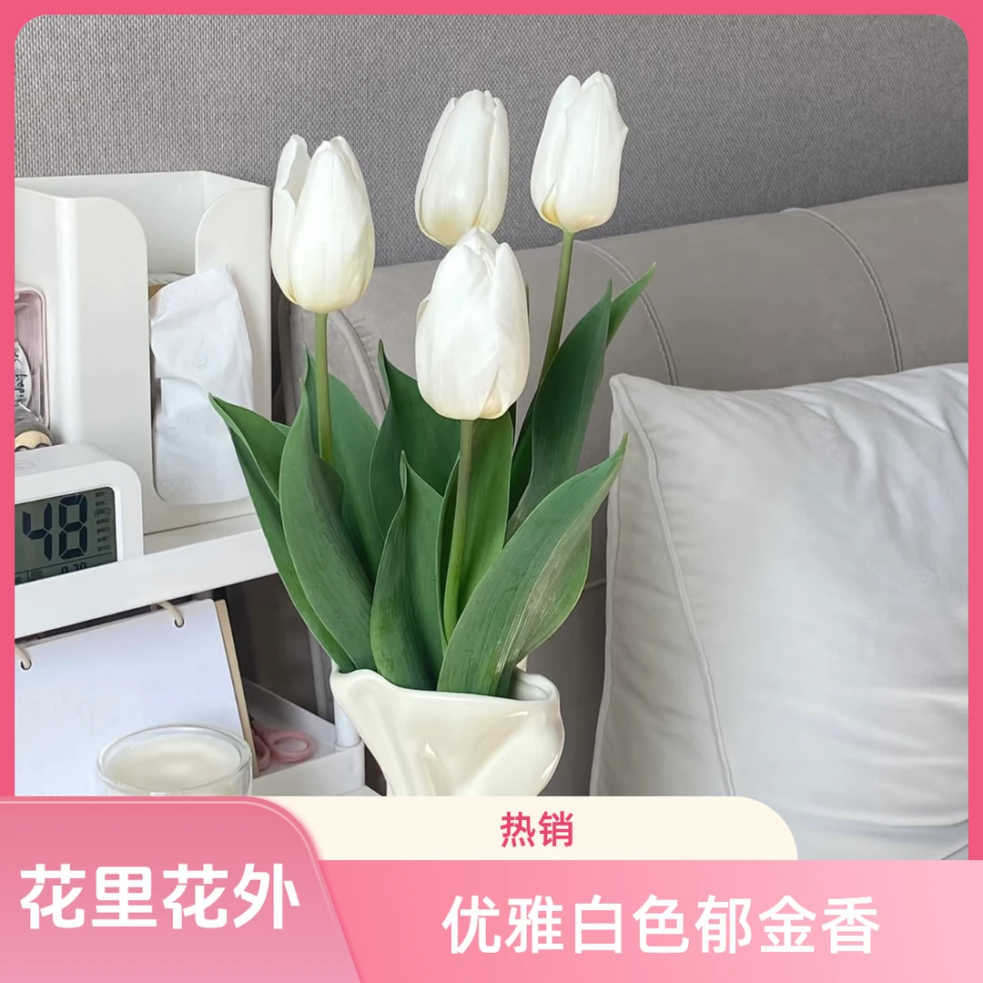 白色郁金香东北鲜花基地顺丰直发